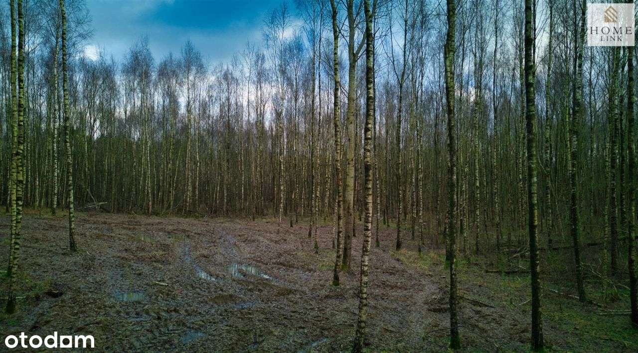 Działka w brzozach z dostępem do jeziora-12