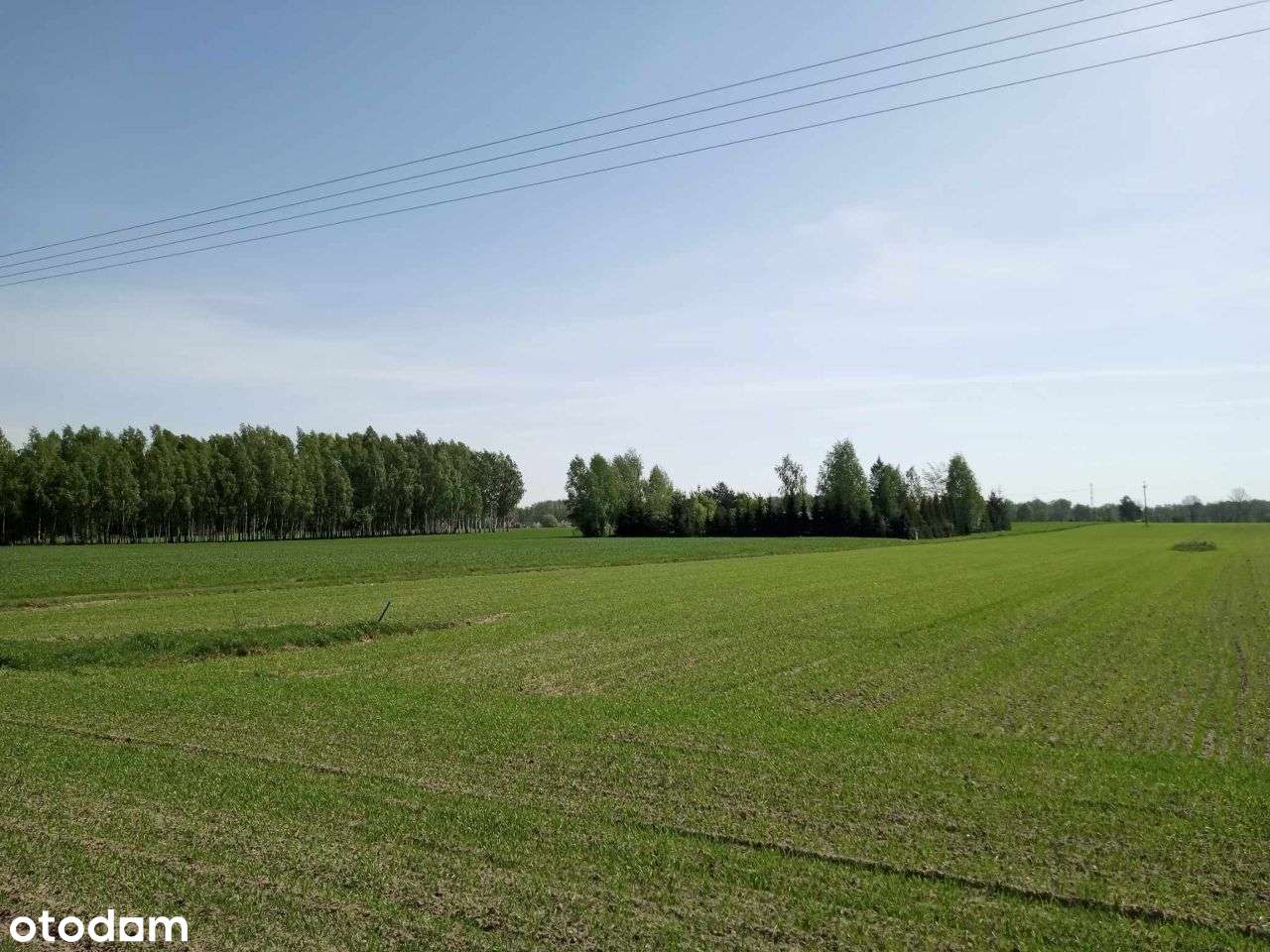 Sprzedam działki budowlane Czarnogłów gm.Dobre-8