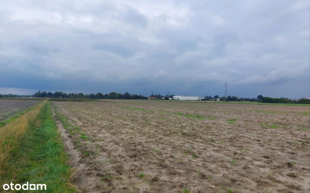 Działka inwestycyjna z MPZP - 2,5ha