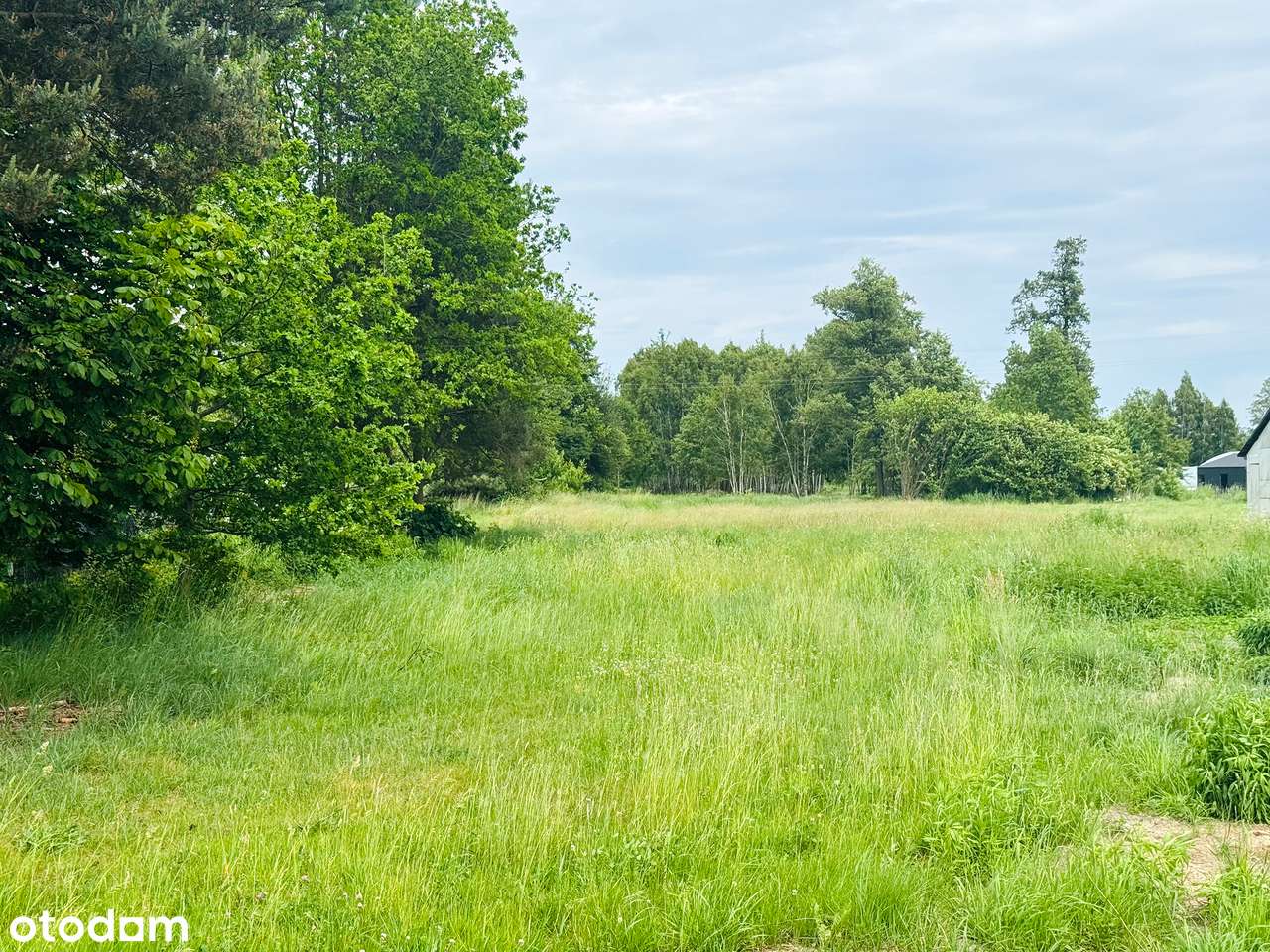 Atrakcyjna działka budowlano-rolna przy głównej drodze, Prawda - Pełny obrazek: 2/6