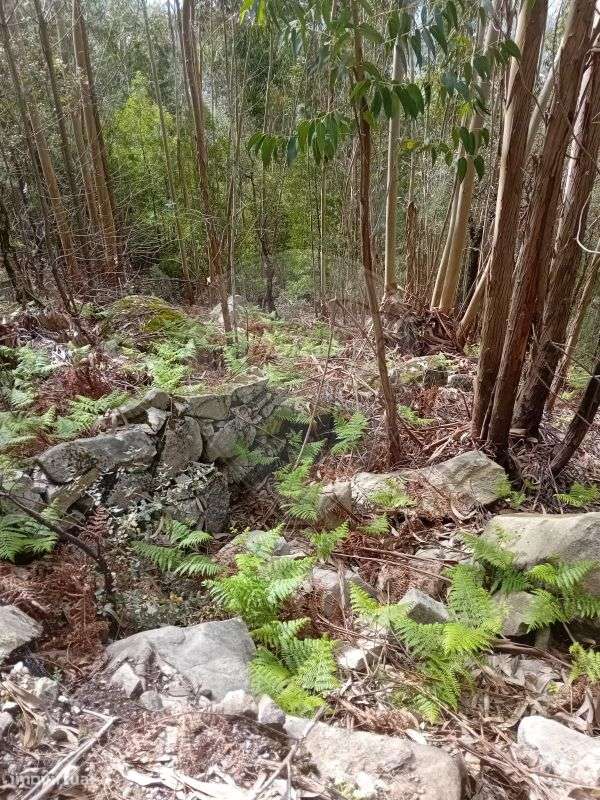 Terreno  para venda - Grande imagem: 4/5