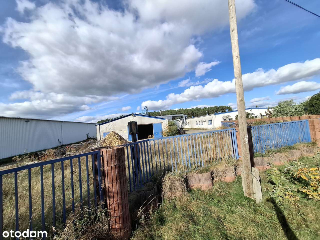 hale produkcyjne i magazyny w Dzierżowie obok Gorzowa Wielkopolskiego-5