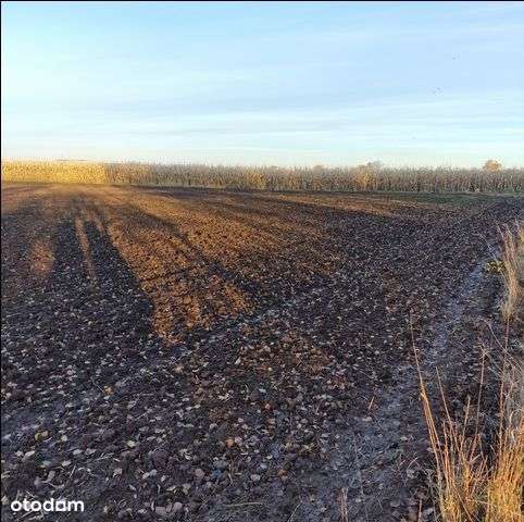 Działka, 5 124 m², Tychy-3