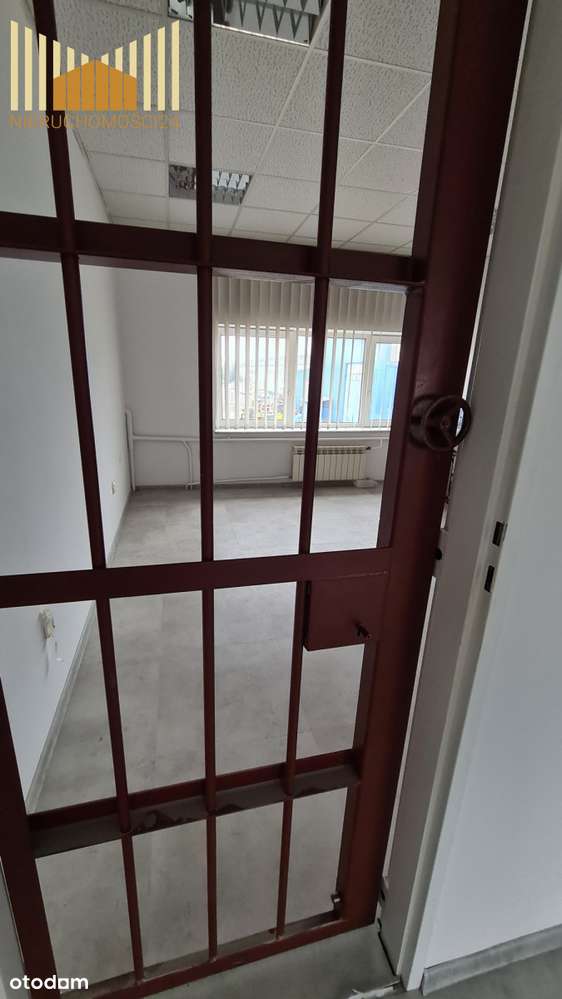 213653 - Pełny obrazek: 4/8