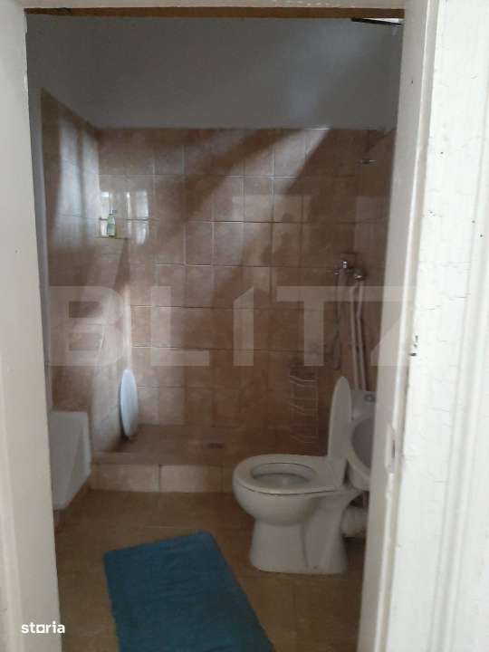 Apartament de inchiriat, 2 camere, 65 mp, zona Iosefin - Imagine principală: 4/10