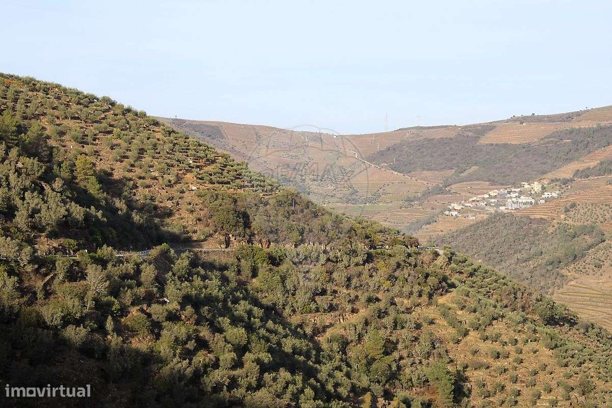 Terreno  para venda - Grande imagem: 4/7