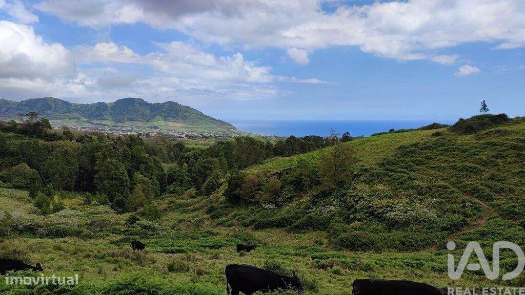 Terreno em Povoação de 142408,00 m2 - Grande imagem: 3/15