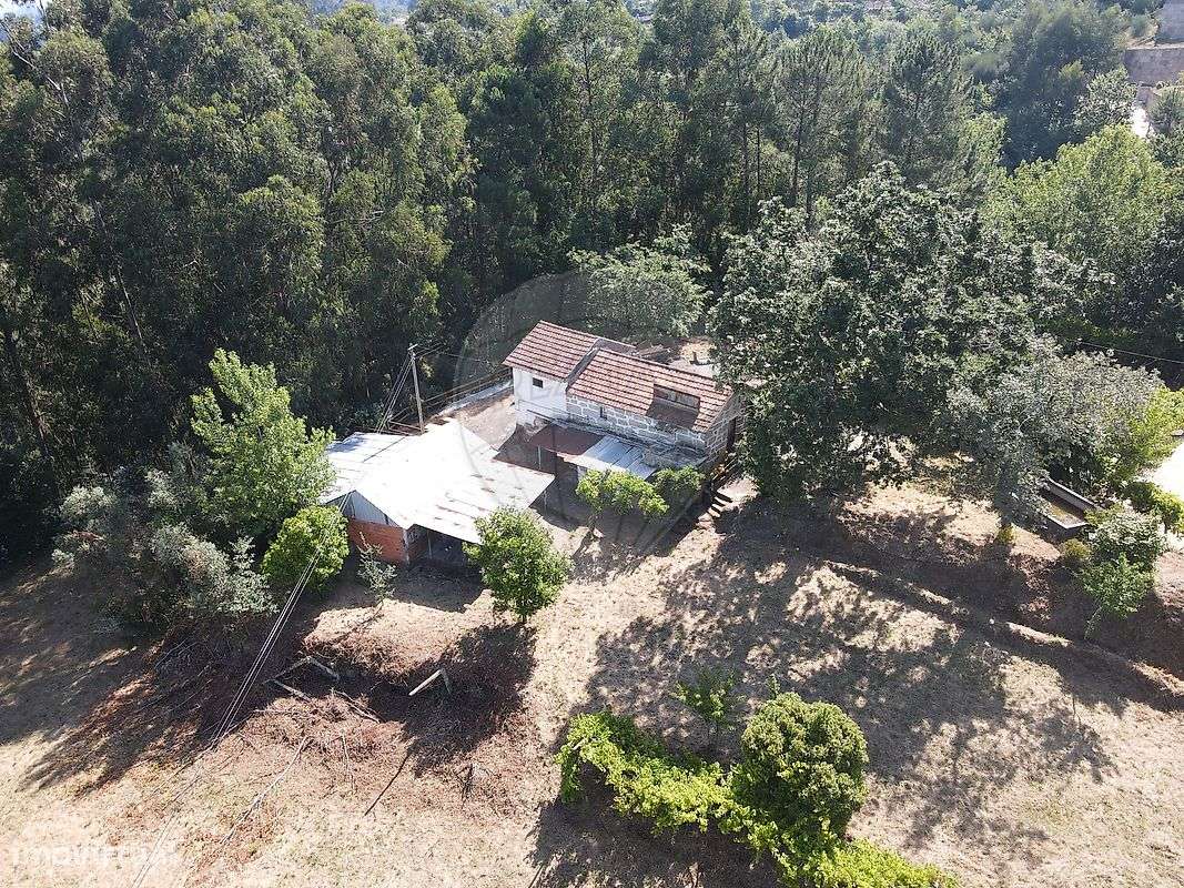 Quinta  para venda - Grande imagem: 4/23