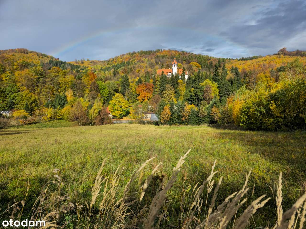 4 Działki przy lesie z widokiem na Góry Sowie-15