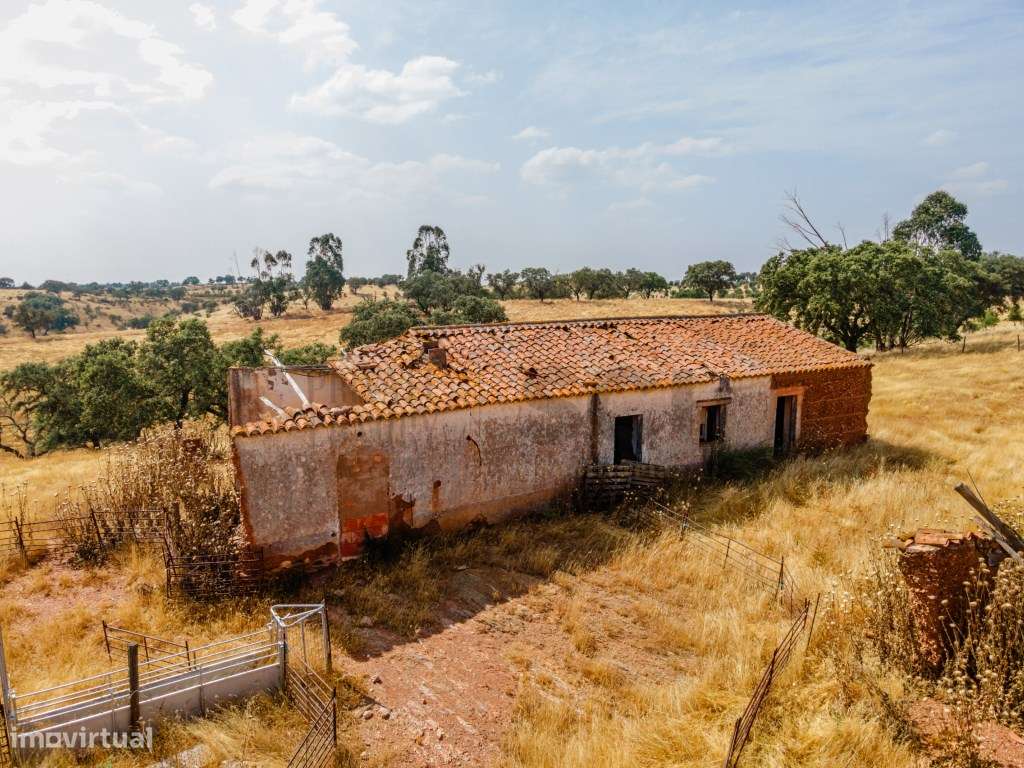 Herdade em Vila Nova de São Bento | 172 hectares-7