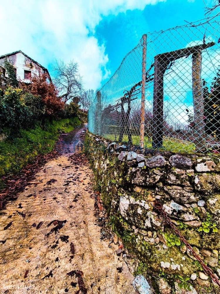 Quinta com 5250 m² & Moradia T1 em Pedra – Baião-48