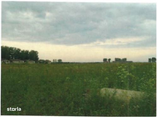 16 loturi de teren, 19.503 mp, Braila-0