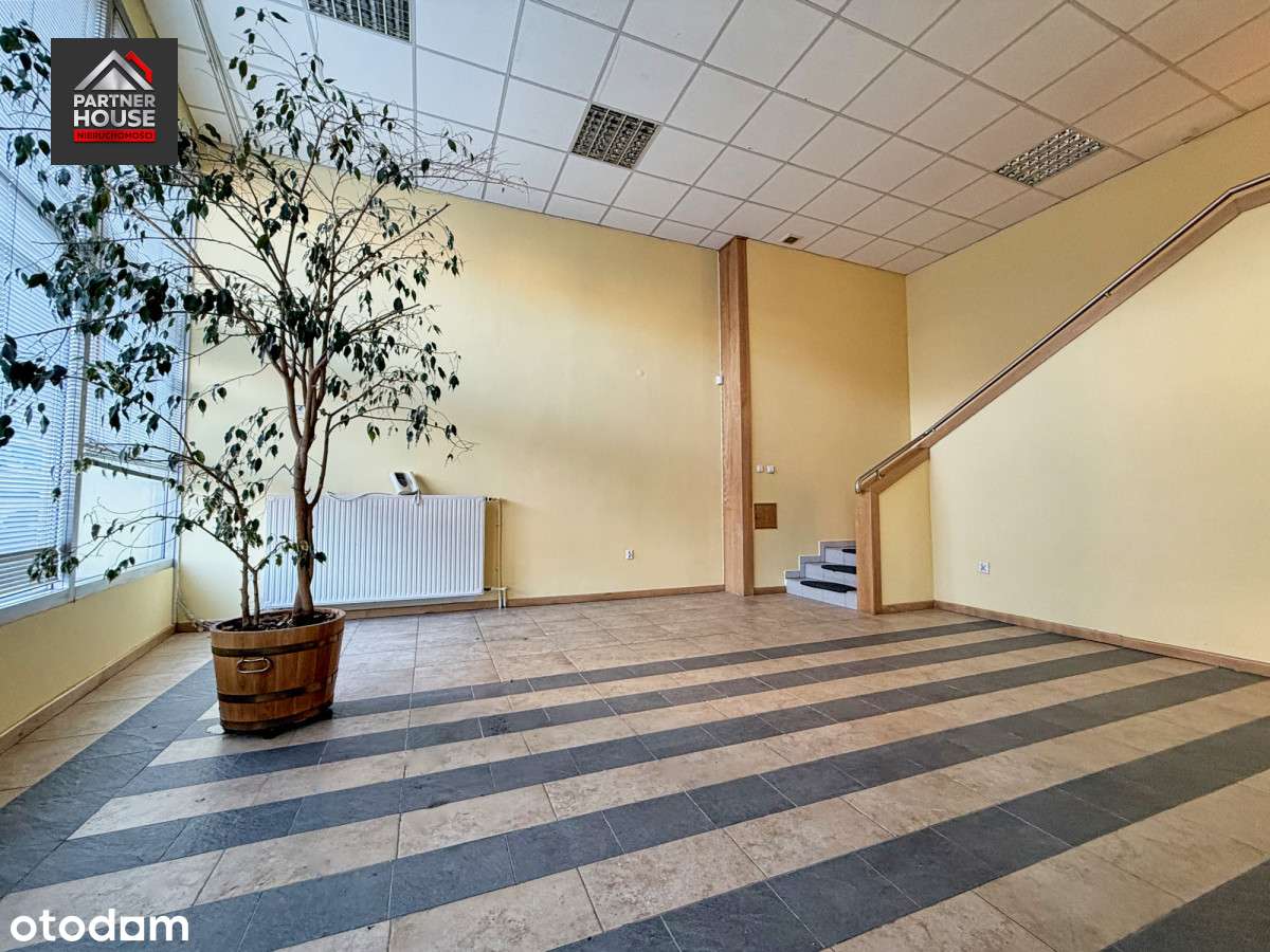 Lokal usługowo-biurowy | Witryna I 2 poziomy-2