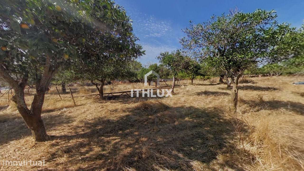 Quinta com 32.500 m2 em Elvas-Alentejo- Portugal - Grande imagem: 5/33