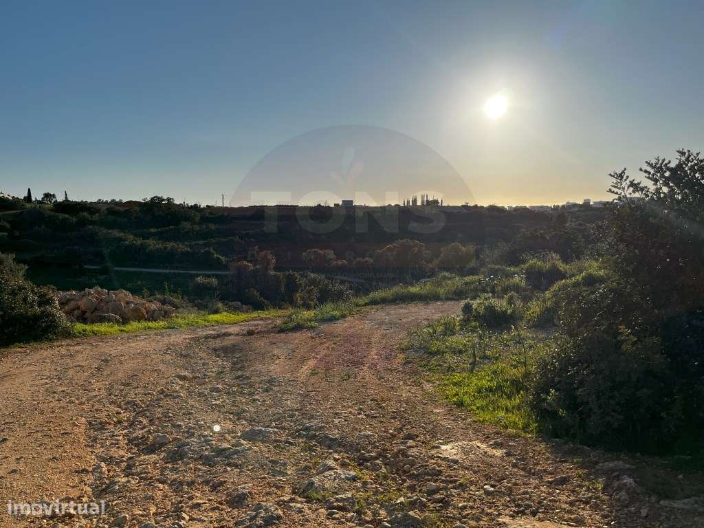 Terreno para Hotel de Turismo Rural com Projeto Aprovado - Ferragud... - Grande imagem: 1/16