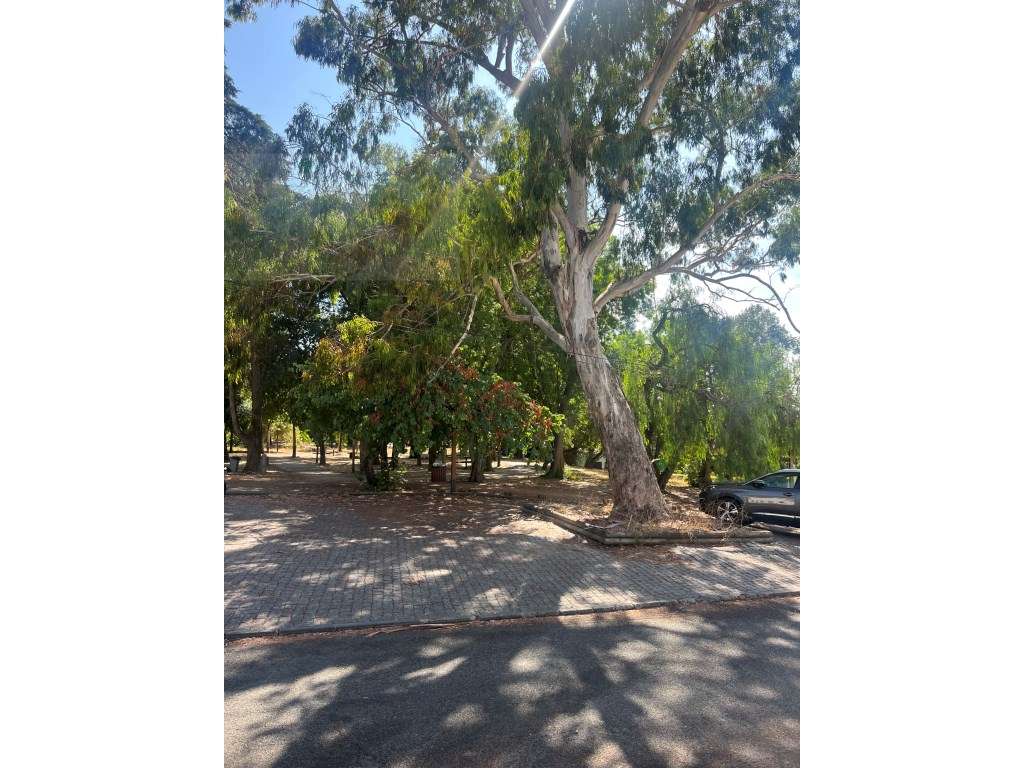 Moradia frente Monsanto, Excelente oportunidade, T2, por recuperar!-7