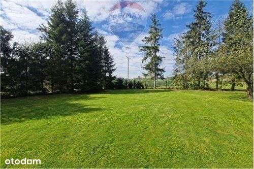 Studio nagrań - rozwój osobisty - joga - Pełny obrazek: 5/14