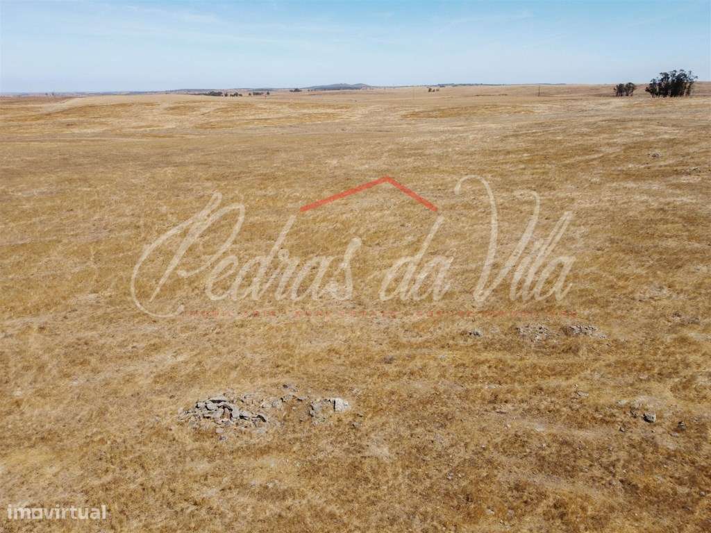 Propriédade de 119ha com varias ruinas - Castro Verde-44
