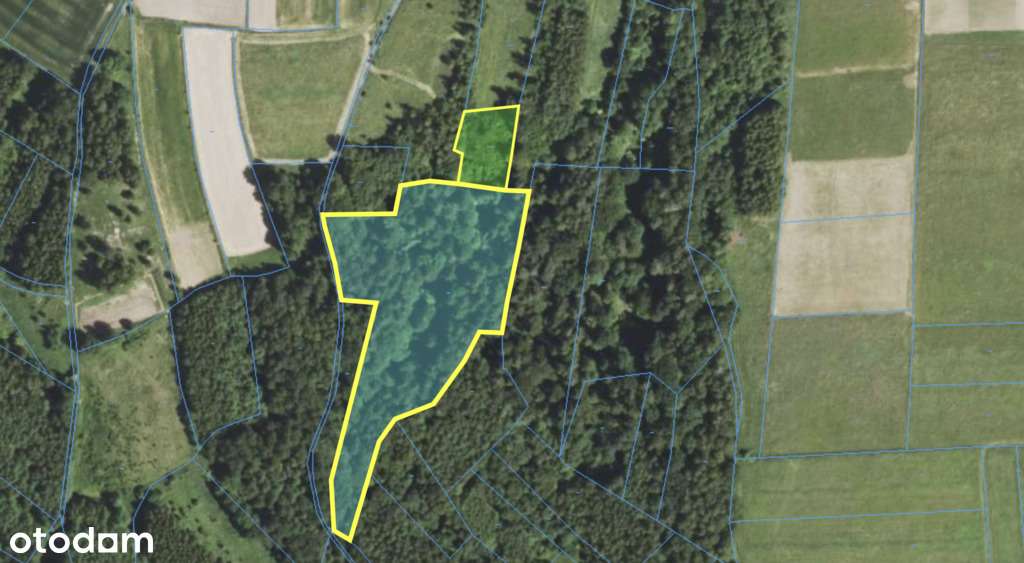 Zadrzewiona działka 1323 m2 + udziały | Hyżne-1