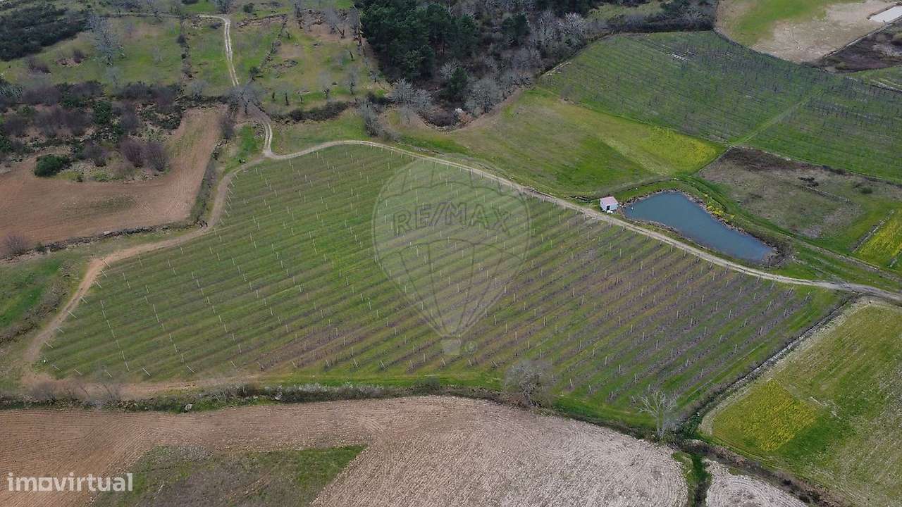 Terreno  para venda - Grande imagem: 5/12