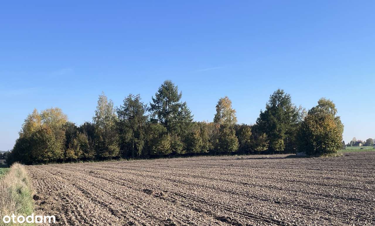 Słoneczna działka, 30 min od Krakowa - Pełny obrazek: 4/6