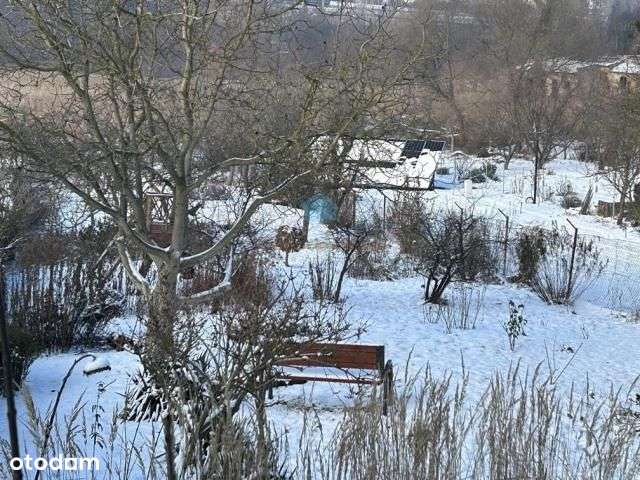 Zabytkowa kamienica w Centrum Trzemeszna na sprzed-2