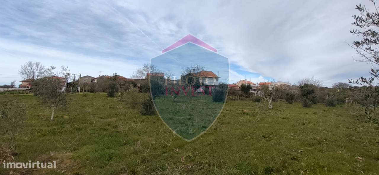 Moradia Isolada T3 Venda em Eirado,Aguiar da Beira-23