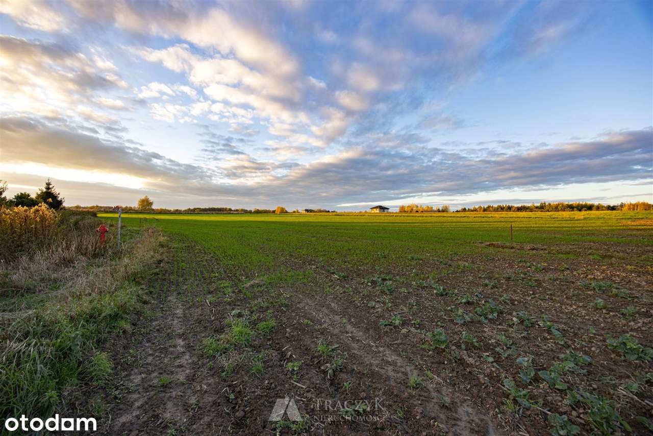 pod dom wolnotojący,prąd,woda,kanalizacja,las,łąk - Pełny obrazek: 4/10