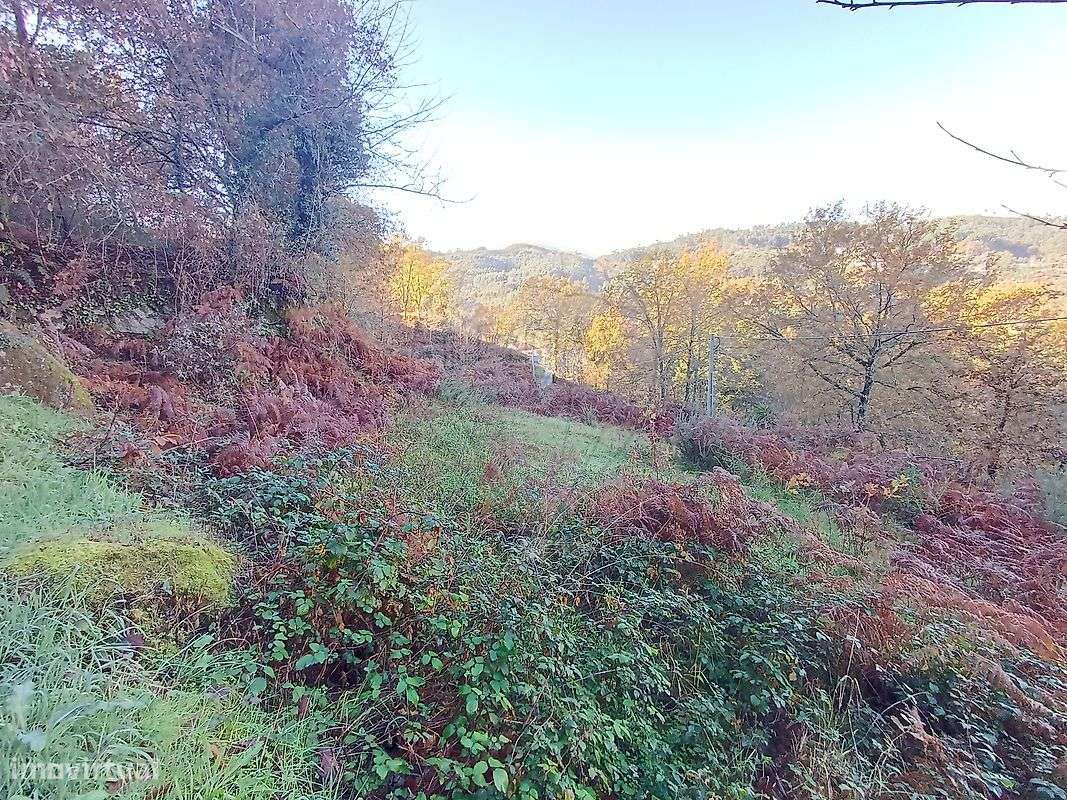 Terreno  para venda - Grande imagem: 5/9