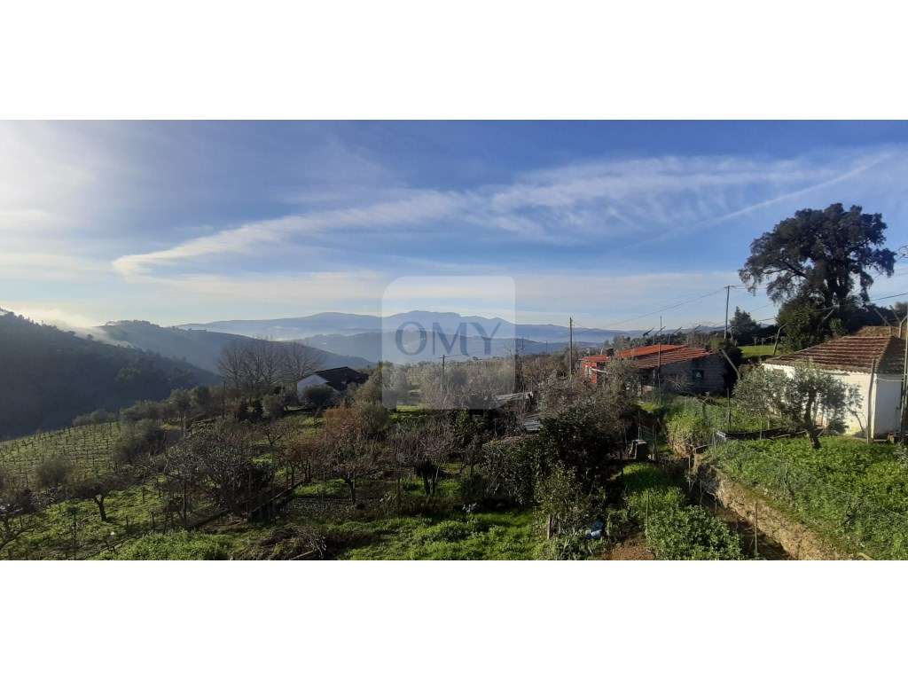 Moradia T3 Geminada Implantada em Terreno de 588 m2 em Bujões, Vila... - Grande imagem: 2/13