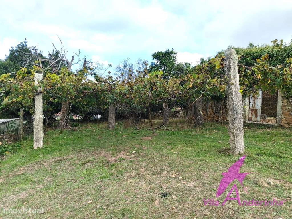 Terreno com Anexo em Pedra em Samonde - Santa Marta de Portuzelo-9