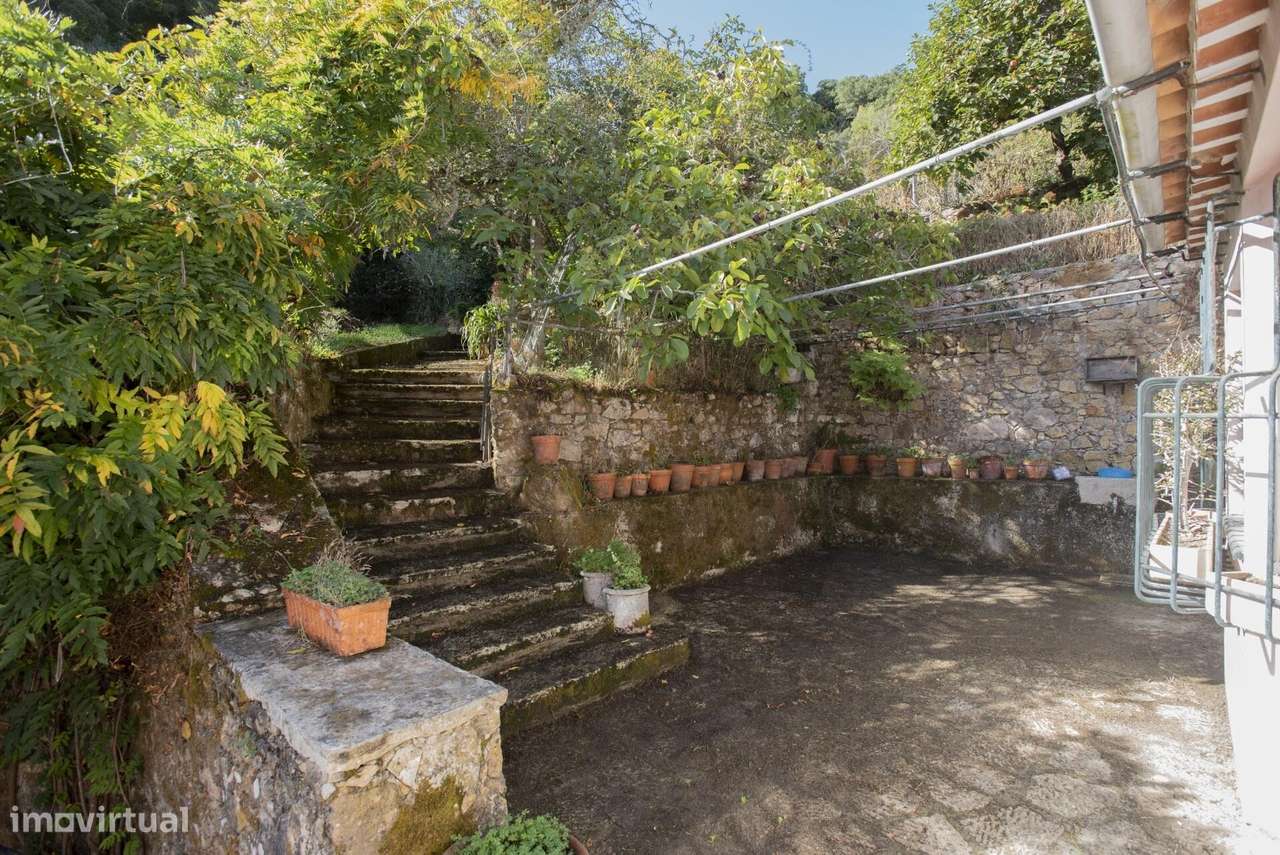 COLARES - SINTRA - QUINTA T8 À VENDA - REFUGIO DE CHARME HISTÓRICO - Grande imagem: 4/30