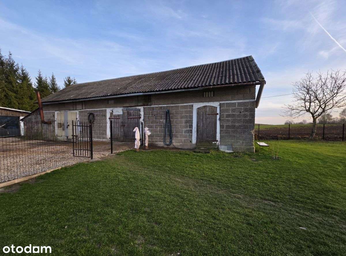 Siedlisko, Jabłońskie, Las-13