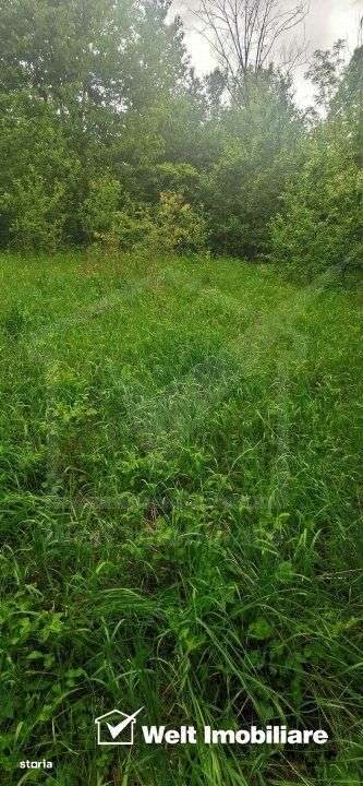 Ocazie!Teren intravilan in comuna Ciurila sat Saliste, priveliste - Imagine principală: 4/4