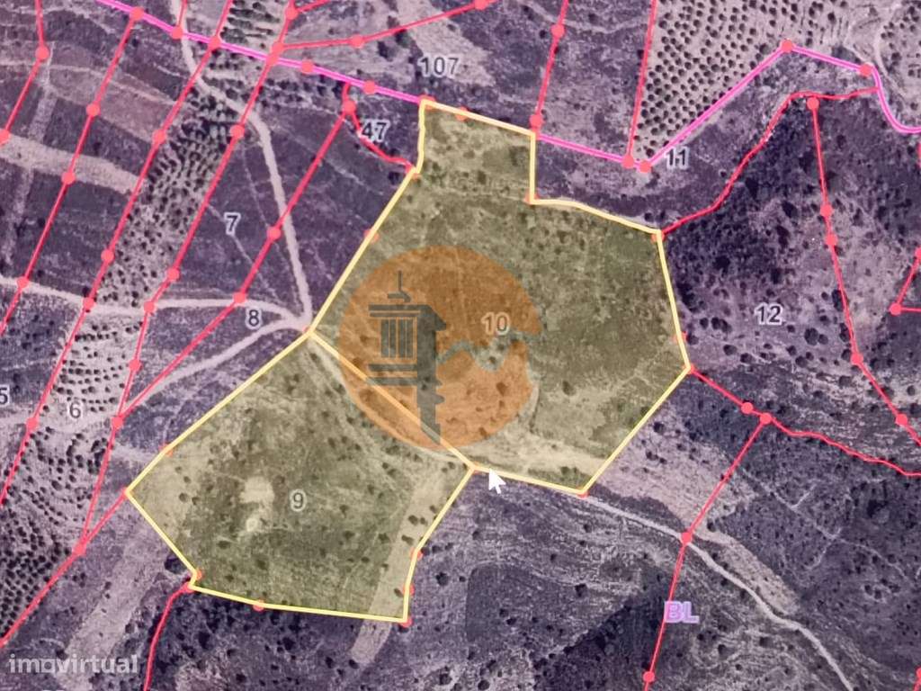 TERRENO COM 57.320 M2 - COM VISTA LAGO - PRÓXIMO AO VALE DO PEREIRO... - Grande imagem: 3/56