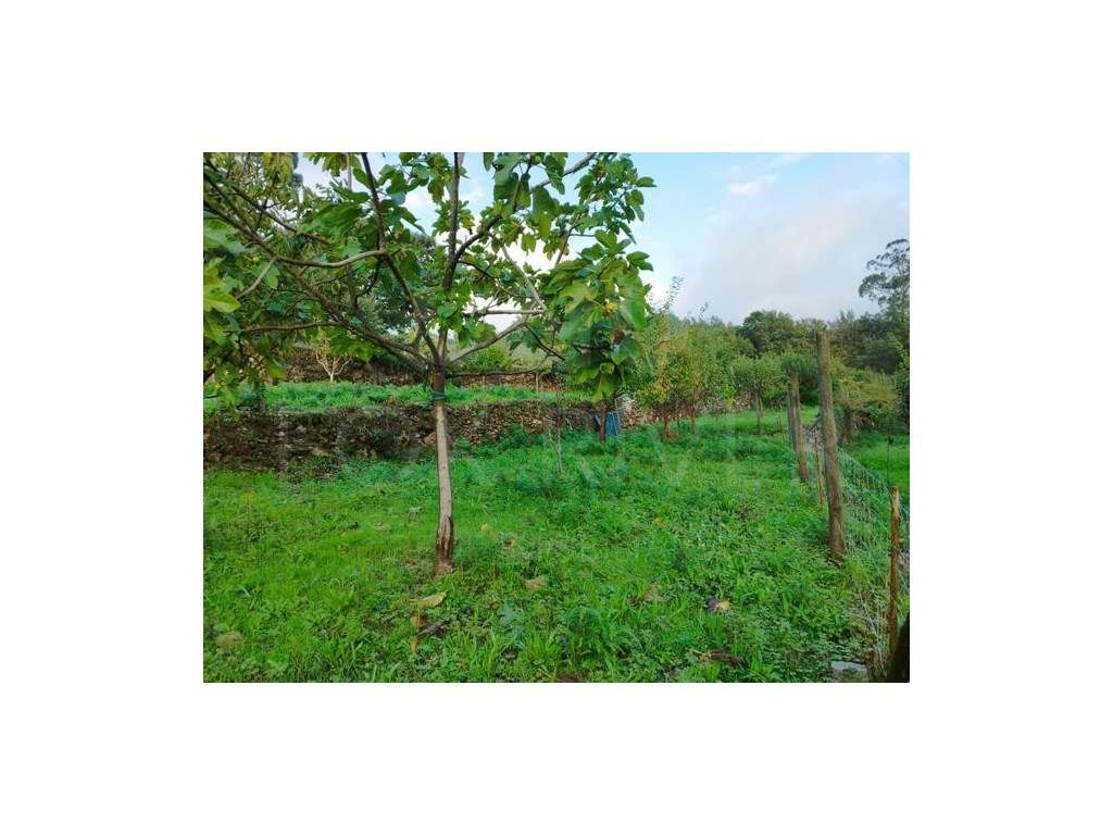 Terreno de Construção em Roussas, Melgaço - Grande imagem: 5/15