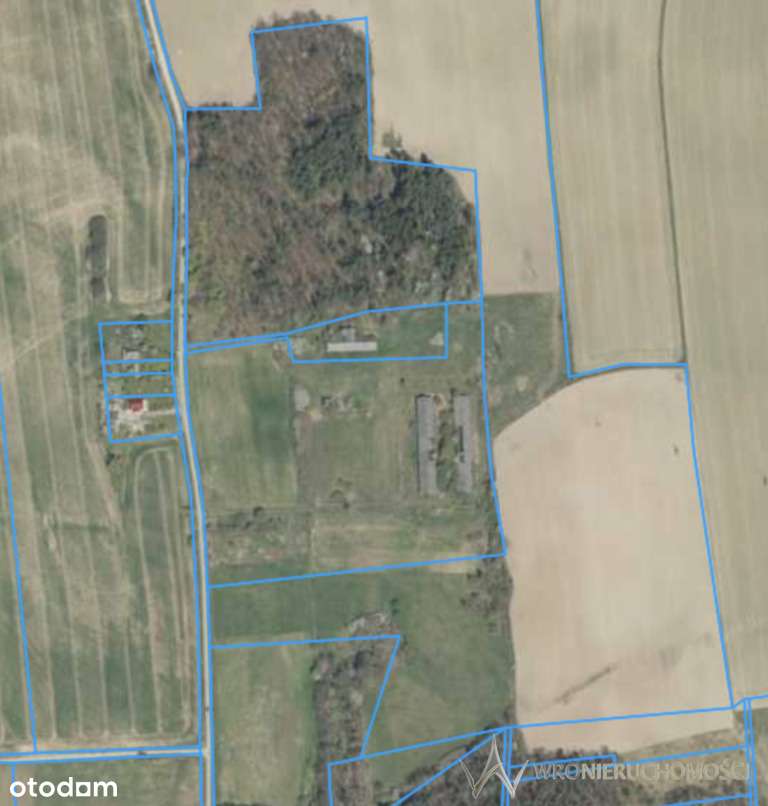 Duża działka w górach | 4 km od Polanicy Zdrój - Pełny obrazek: 4/5