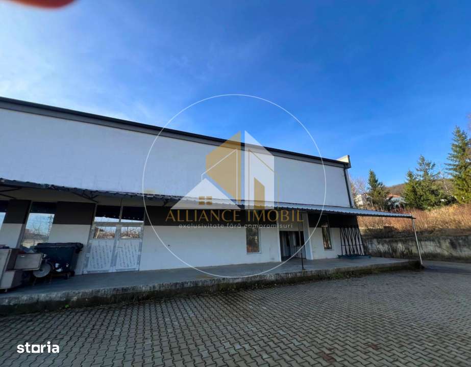 Spatiu industrial cu utilizare mixta(productie ,depozit, birouri) – - Imagine principală: 1/12