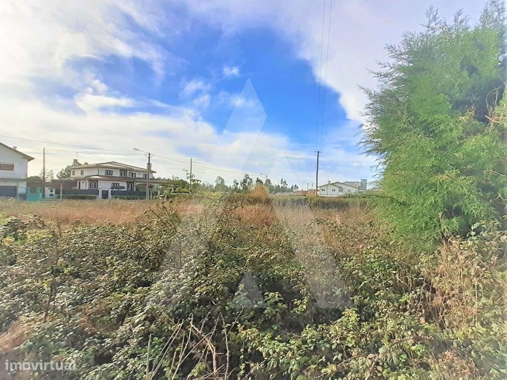 Terreno para construção em Mira - Grande imagem: 4/12