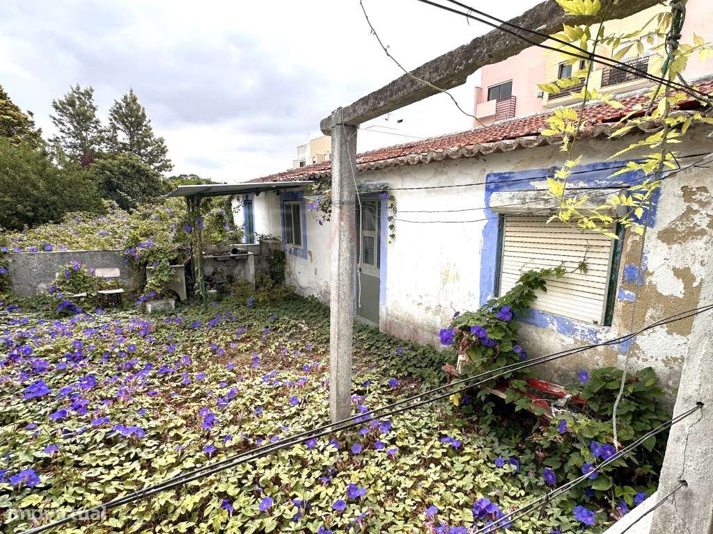 Casa Térrea-7