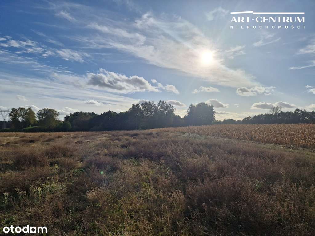 #Działki Osielsko/Wilcze - Pełny obrazek: 5/7