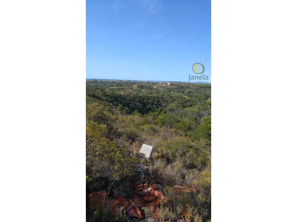 Terreno com 2400 m2 e vista mar - Grande imagem: 3/5