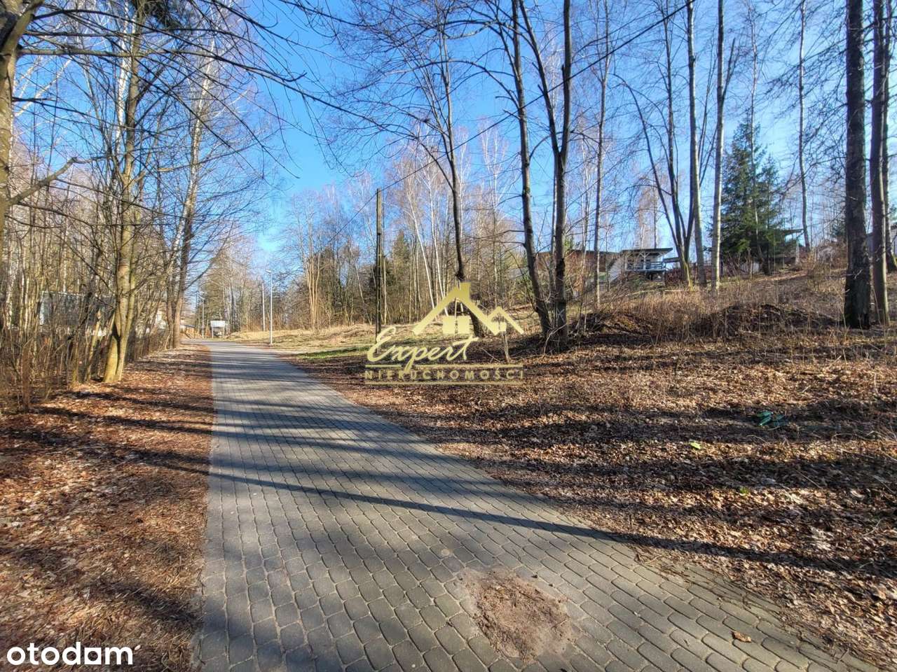 Działka Inwestycyjna Kretowiny - Pełny obrazek: 5/6