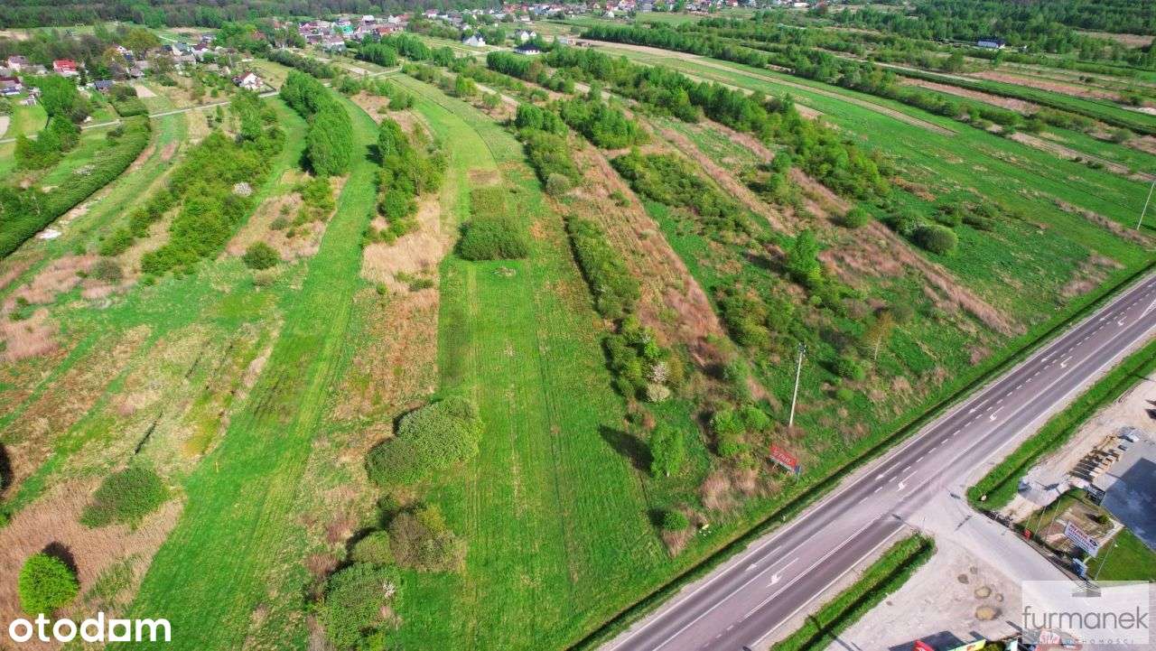 Działka 6334 m2 przy drodze wojewódzkiej nr 835 - Pełny obrazek: 5/9