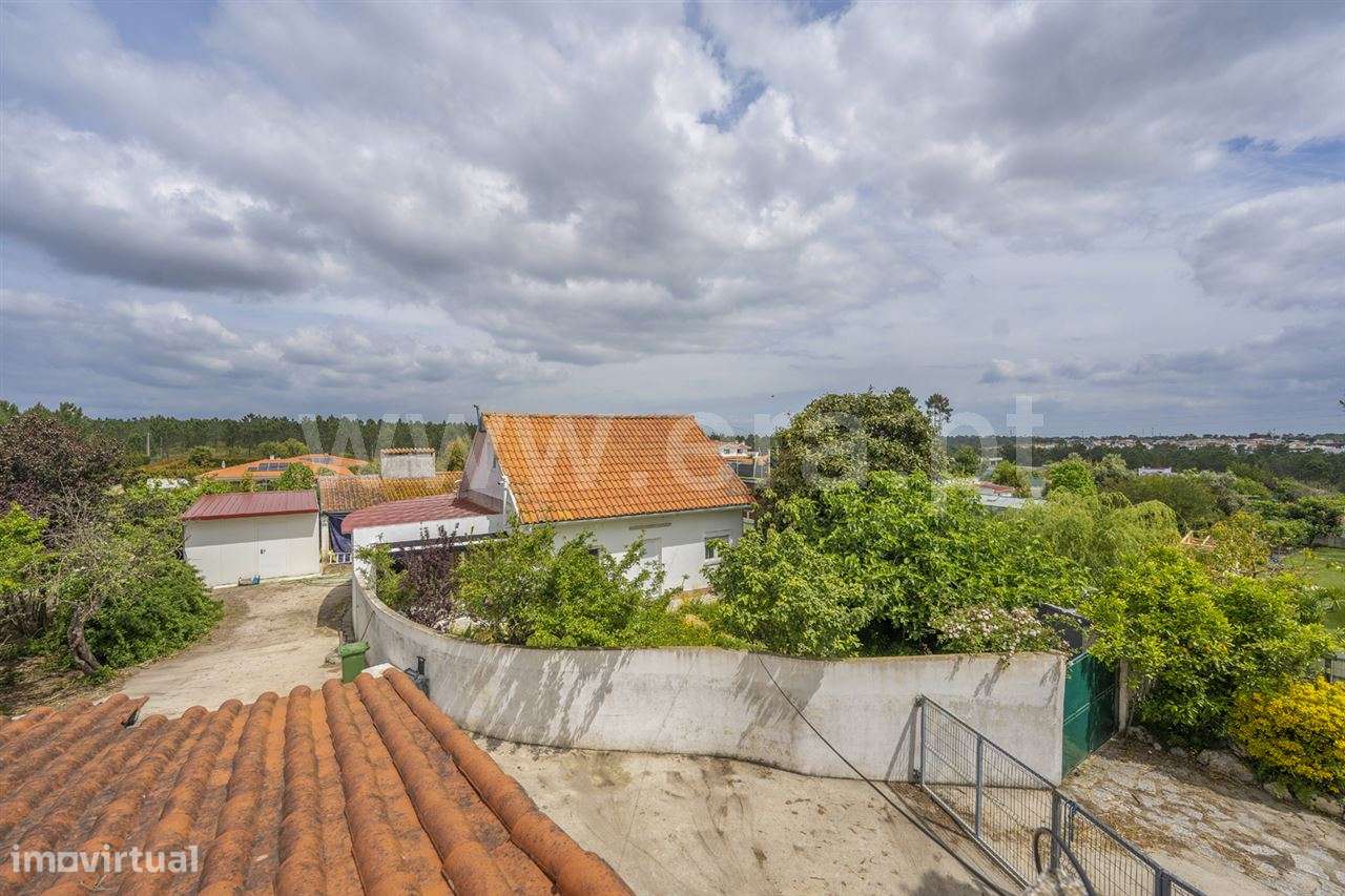 Magnifica Quinta T7; Verdizela-39