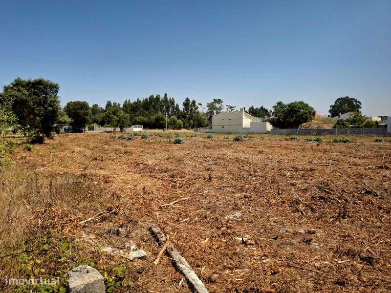 Terreno Espaçoso em Mira - Grande imagem: 4/4