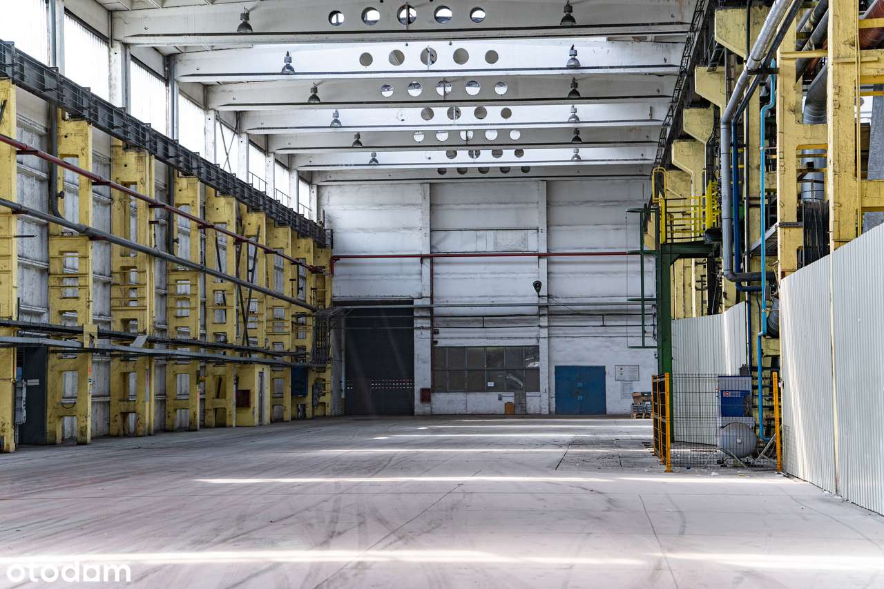 4000mkw hala produkcyjna z suwnicami - Pełny obrazek: 4/9