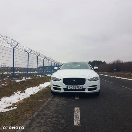 Jaguar XE 2.0 P250 HSE - 5