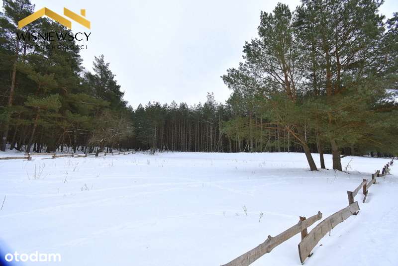 Działka 3001 m2, przy lesie, budowlana, uzbrojona-2