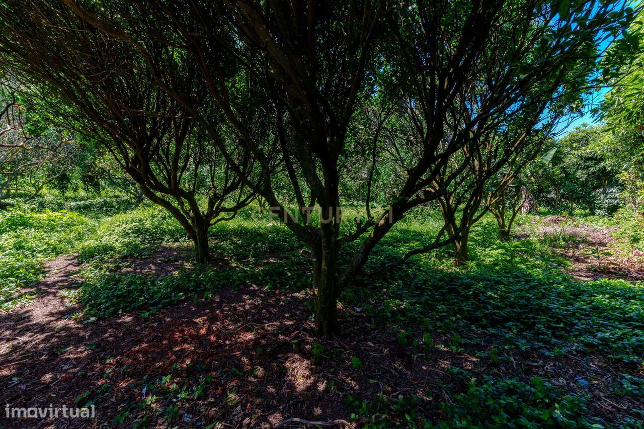 Moradia T4 com 2.971 m² de Terreno e Vista Panorâmica-55